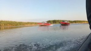 РЫБАЛКА в ТИШКОВО г. Астрахань. Рыбачим на ОСТРОВЕ, клюёт всё. АРХИВ 2024г.