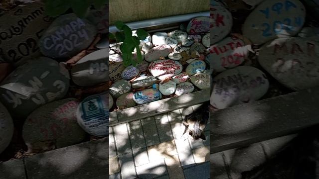 Только вперед с Ириной!