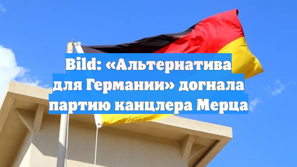 Bild: «Альтернатива для Германии» догнала партию канцлера Мерца