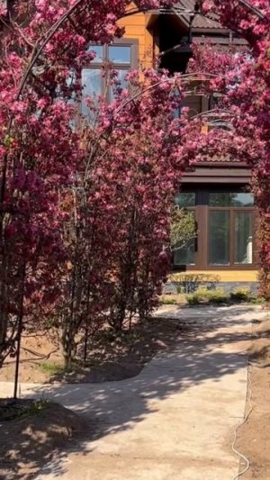 Новый ролик на канале 🫶🏻