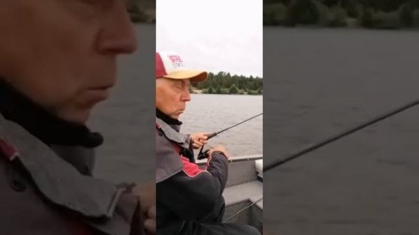 Новосадов Live. Ловля жереха на воблер Megabass Marine Gang 90F.