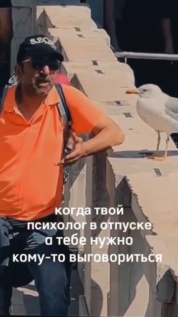 друзья, напоминаю что с 1 сентября цены на мои услуги повышаютсядо 1 сентября вы можете приобрести