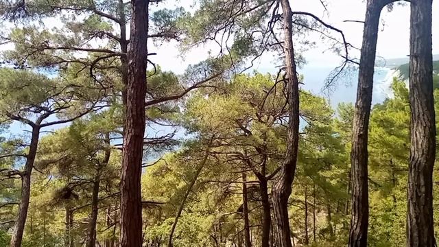 Поход в Голубую Бездну! 2025 г. смотреть онлайн