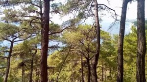 Поход в Голубую Бездну! 2025 г.