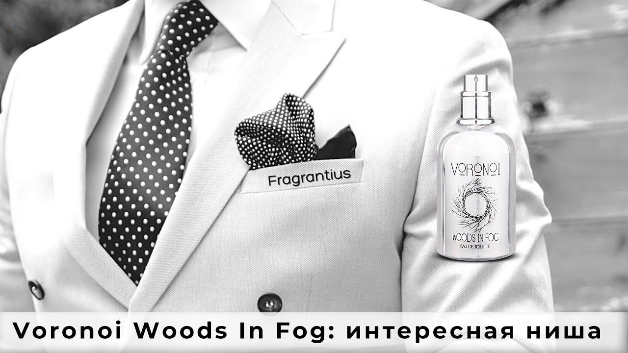 Voronoi Woods In Fog: интересная ниша смотреть онлайн