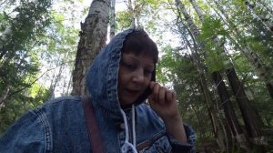 По грибы в лес 23 авг 2025