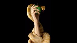 АукцЫон - Огонь