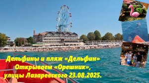 Дельфин и пляж «Дельфин», открываем «Орешник» и улицы Лазаревского 23.08.2025.