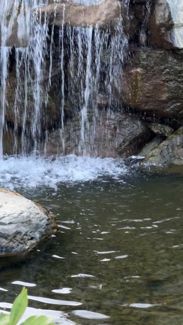 Водопады, золотые рыбки, кристальная вода в Японском саду #парккраснодар #паркгалицкого смотреть онлайн