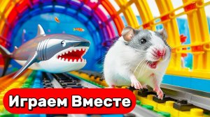 ОПАСНЫЙ ЛАБИРИНТ С ЛОВУШКАМИ И МОНСТРАМИ ДЛЯ УМНОГО ХОМЯКА 🐹 ВИДЕО ДЛЯ ДЕТЕЙ