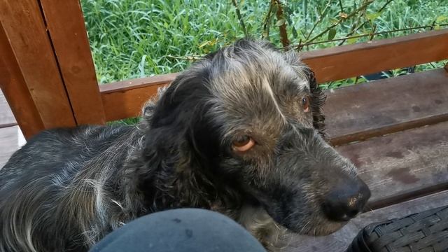 СОЧИ ГОРНОЕ ЛОО УТРО 23.08.2025 смотреть онлайн