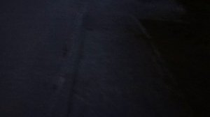 изучение моего двора