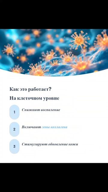 Силовые тренировки замедляют старение кожи... Жду у себя в тг) Https://t.me/fitprofi74