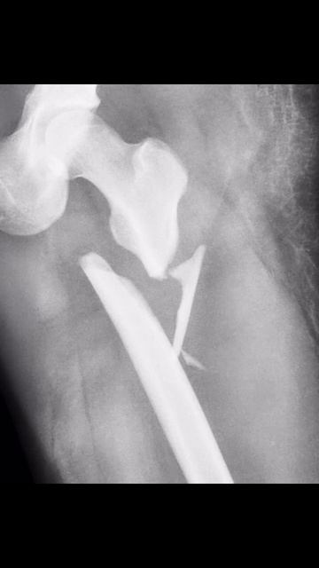 Другими тропами