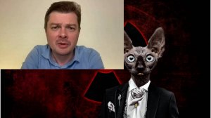 Вы с какой целью в Россию? / Кот Костян