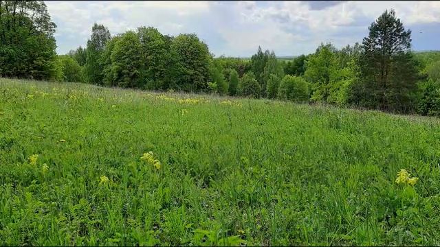 I Бодхиньяна