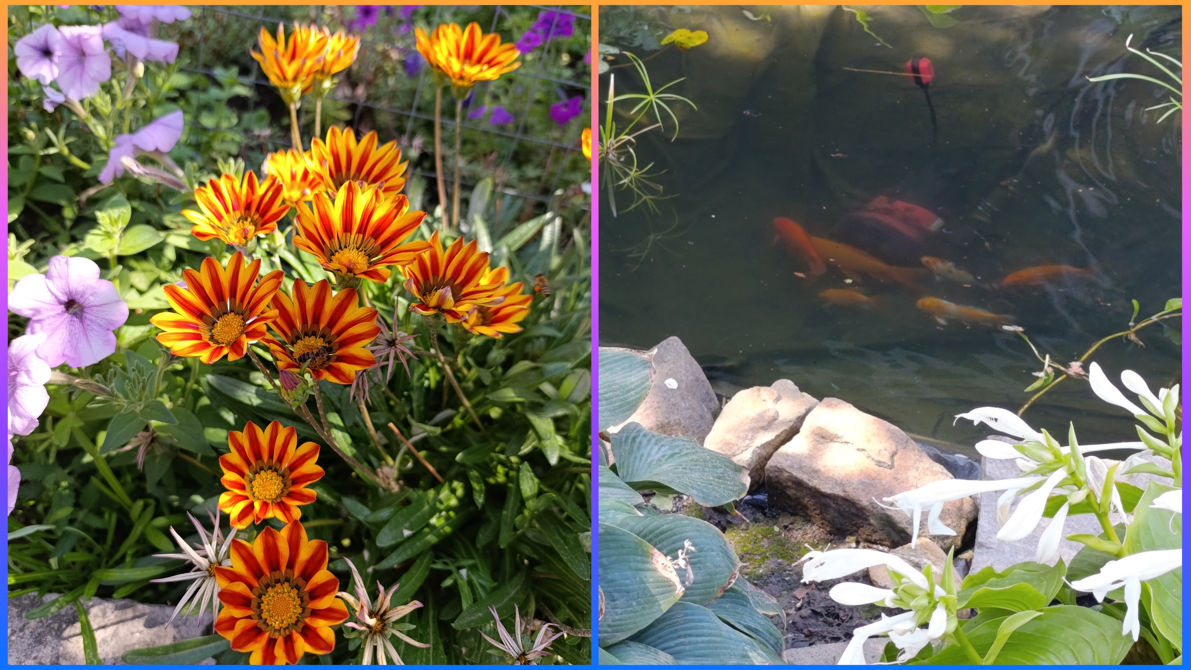 Вечер пятницы😉. смотреть онлайн