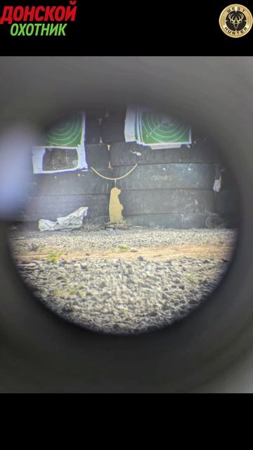 Охота на Сурка. Подготовка - это самое галвное смотреть онлайн