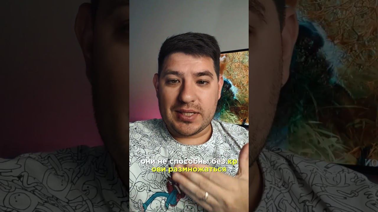 Диванный Дегустатор