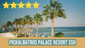 Pickalbatros Palace Resort SSH / Обзор отеля в Шарм-Эль-Шейхе