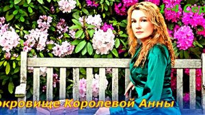 Сокровище Королевой Анны 1 - 4 Серия Сюжет и дата выхода Сериал Dомашний