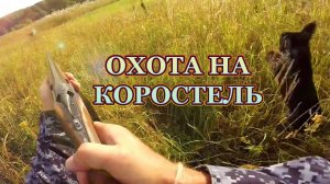 Охота на куропаток, коростелей с собакой