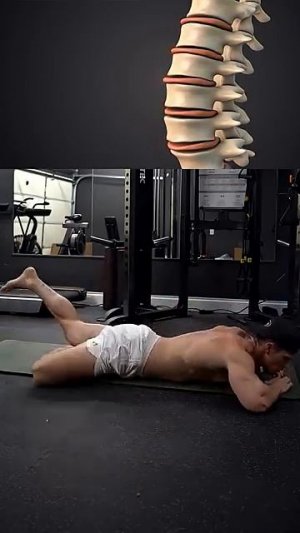 Отправьте его всем, у кого болит спина – вам не придется «стискивать зубы», чтобы увидеть эффект