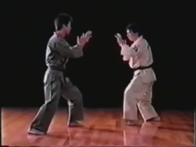 Хидэюки Асихара - Ашихара-карате (Часть 2)