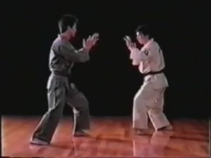 Хидэюки Асихара - Ашихара-карате (Часть 2)