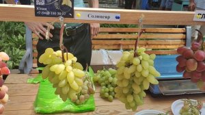 Выставка «Виноград Донбасса - 2025». Евгений РОМАН.