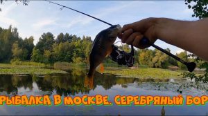 Рыбалка в Москве. Серебряный бор.