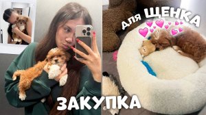 Первые ПОКУПКИ для ЩЕНКА