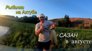 Рыбалка в августе на донки. Ловля САЗАНА на реке Ахтуба