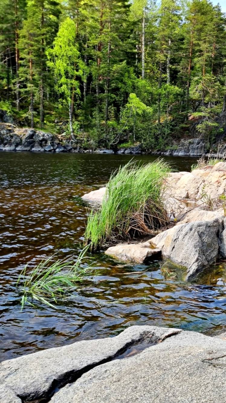 Женщина за рулем: Путешествие 