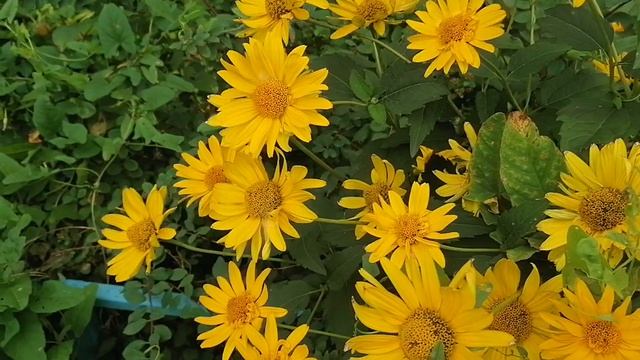 О путешествиях и обо всем понемногу