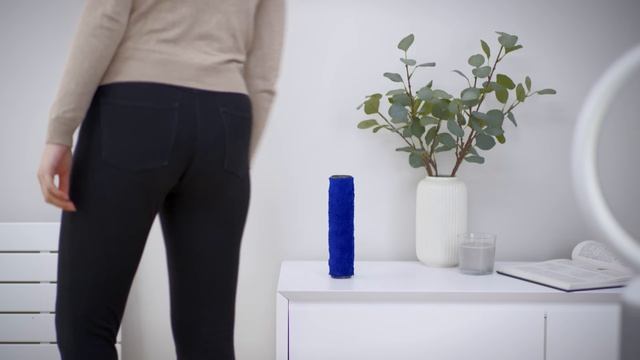 How to maintain your Dyson Submarine™ wet roller head смотреть онлайн