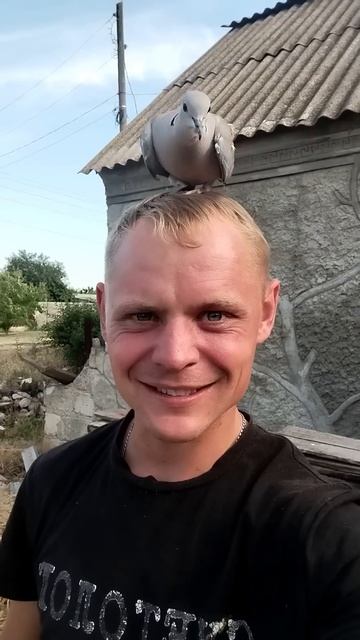 вот такая гуля #влог #море #животные #жизнь #смех