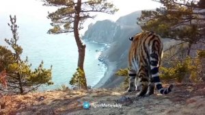 Владивосток