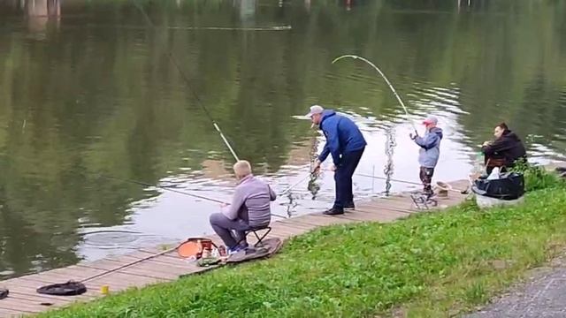 Поимка Карпа смотреть онлайн