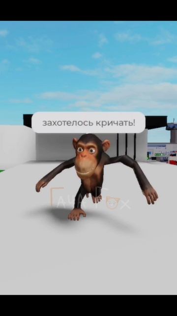 я сняла BashMaki смотреть онлайн