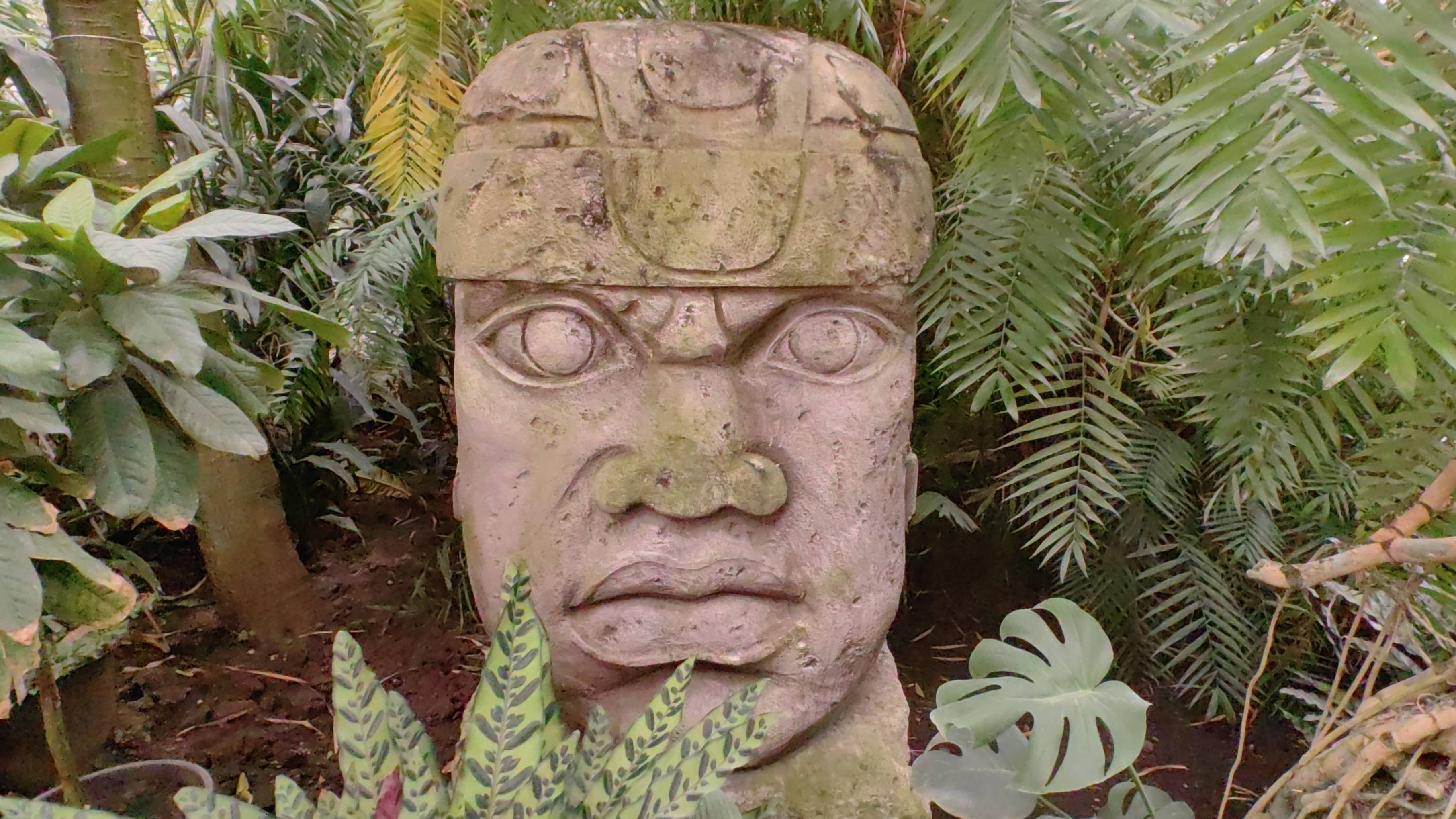 Как я посетил Ботанический сад МГУ «Аптекарский огород» (август 2025) смотреть онлайн