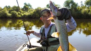 РЫБА КЛЮЁТ И ДУША ПОЁТ! РЕКА НАЧИНАЕТ РАДОВАТЬ КЛЁВОМ! Рыбалка на спиннинг в 2025