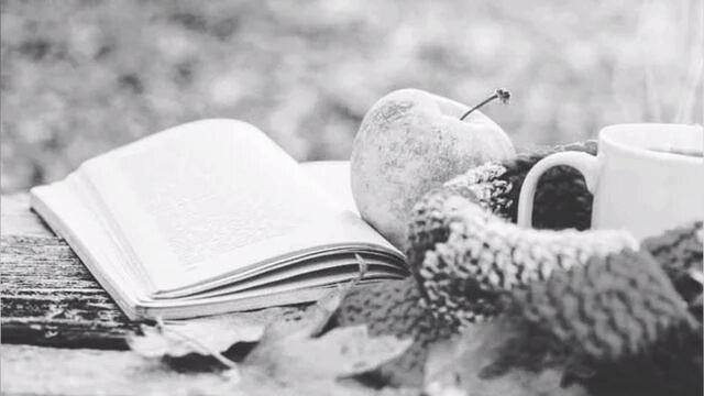 Мысли бродят в тишине смотреть онлайн