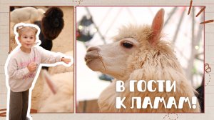 ВЛОГ: МАЙЯ И МИРА ИДУТ В ГОСТИ К ЛАМАМ И ЗАЙЧИКАМ!
