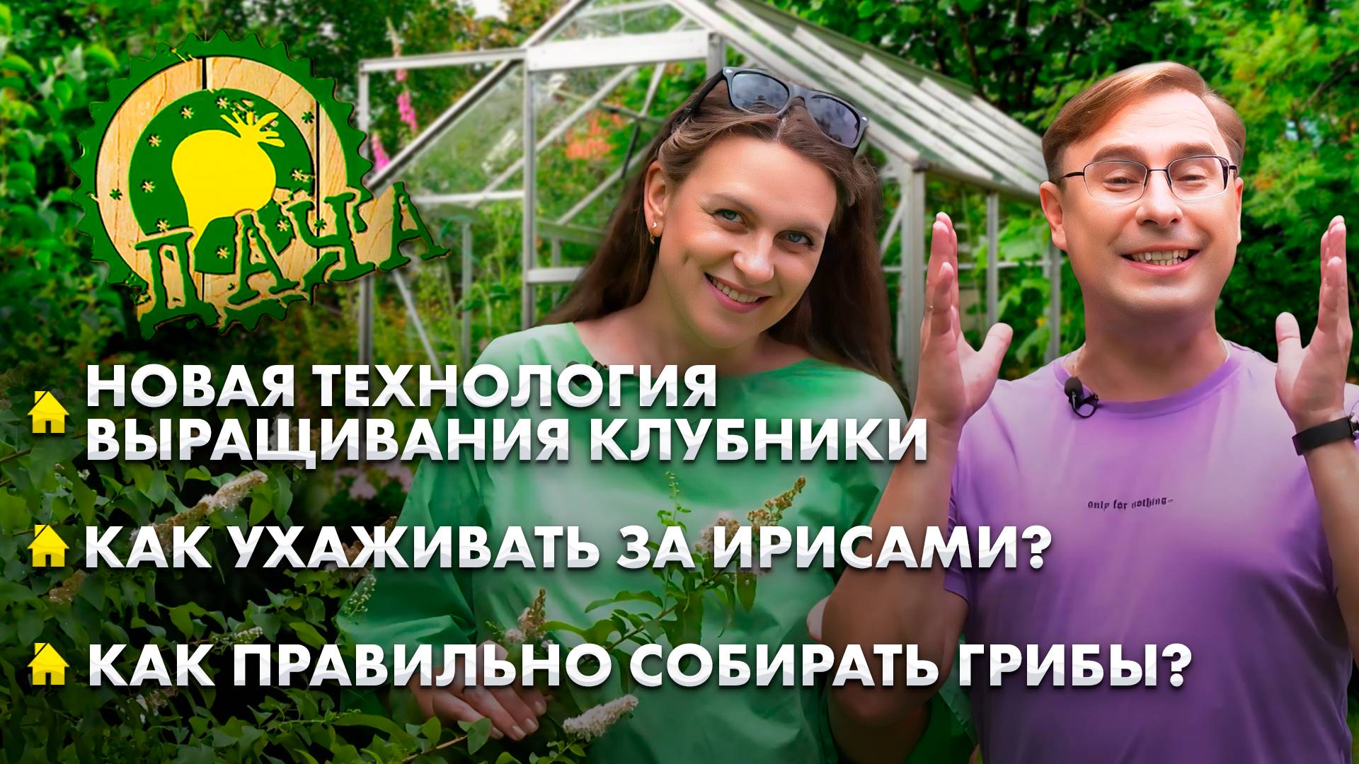 Клубника в горшочках? | Уход за ирисами | Где собирать грибы? | Лунный календарь. Дача