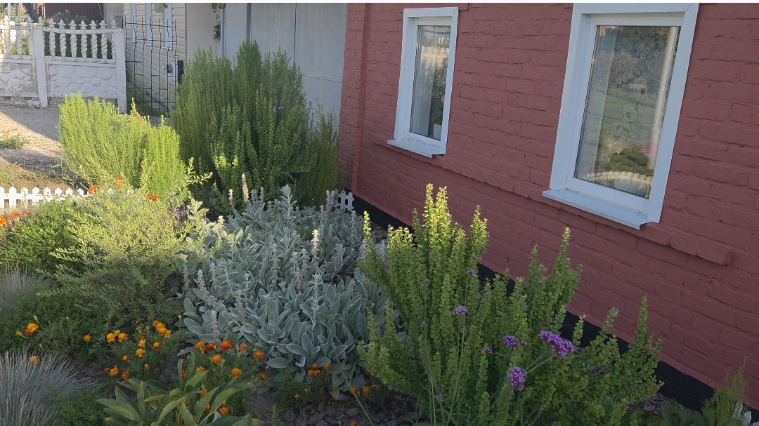 ПОДКРАСИЛИ ФУНДАМЕНТ/НОВАЯ СКАМЕЕЧКА ОТ БРАТА/КОМПОТ ИЗ СЛИВ/ ЛЮБИМЫЕ ВНУКИ В ДЕРЕВНЕ/23-08-2025