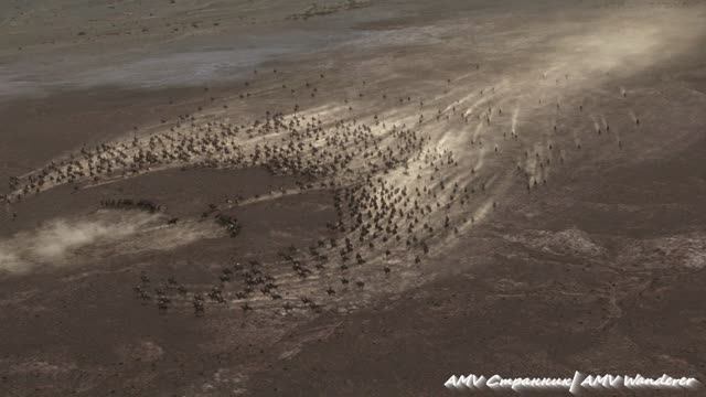 ⚡Рубрика "Интересные моменты": Песнь пустыни... [MMV]⚡ смотреть онлайн