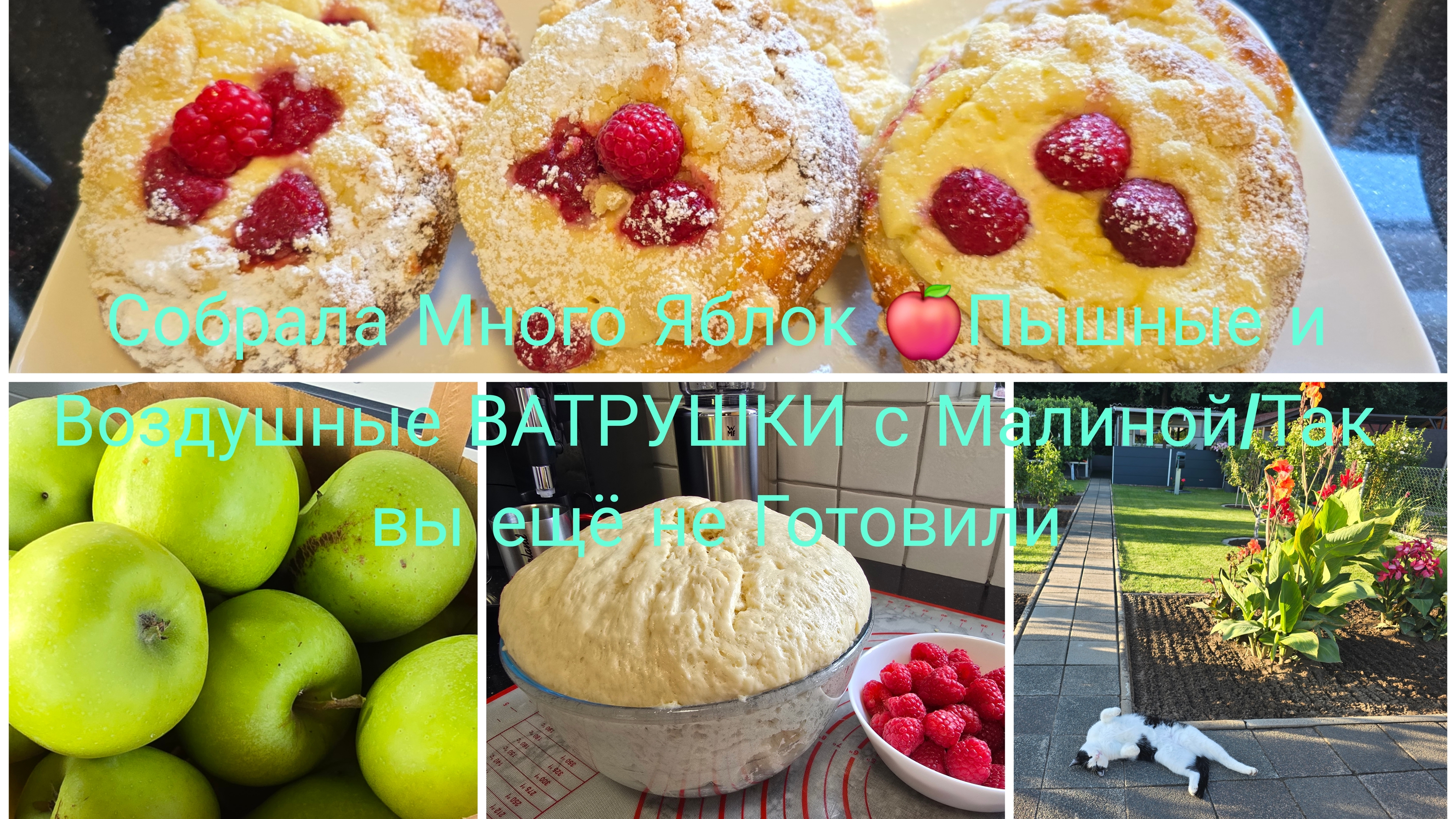 Такое тесто вы ещё не Готовили/Пышные ВАТРУШКИ с Творогом и С Малиной/Собрала много Яблок 🍎 смотреть онлайн