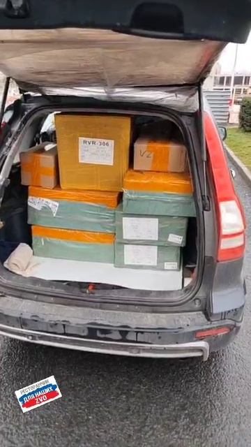 Мангуст Дивный