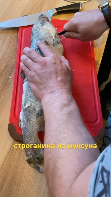 Как делают строганину? Ели много раз, а увидели впервые #норильск #рыбалка